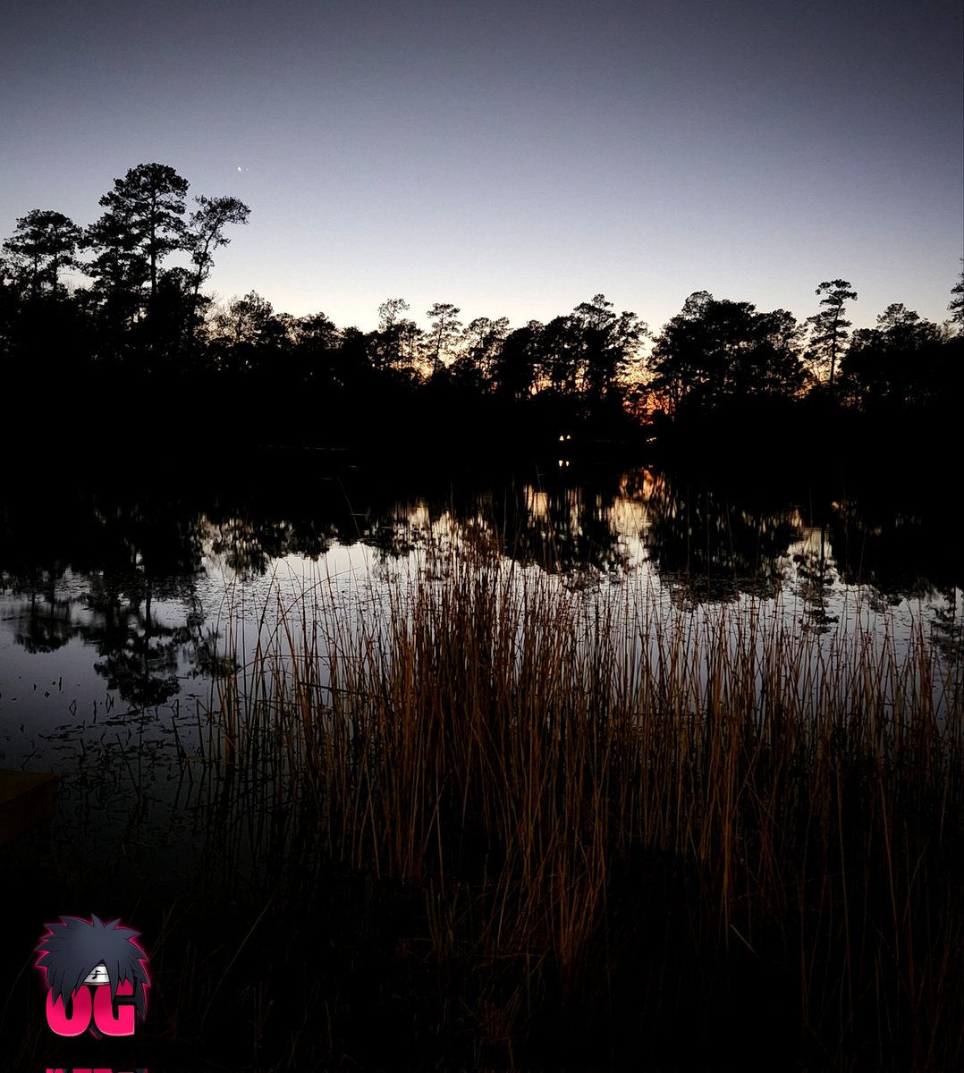 JoystickShinobi's tweet photo. Thanks to the inspiration from my homie @StoopKiiiiid I've been holding back on yall! I have soooo many pics I want to share with you all I need to start back doing it often my apologies...

#hiddensaucevillage #OGshots #pics #capture #nature #grafiti #tagging https://t.co/pLcKzIdfFI