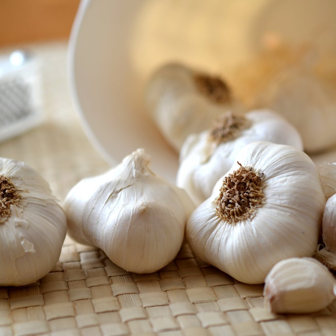 indiherbs_llc's tweet image. Garlic isn't just for warding off vampires! It's packed with benefits like boosting immunity, reducing inflammation, and improving heart health. Plus, it adds delicious flavor to any dish. Time to add more garlic to your diet!
#garlic #benefitsofgarlic #immunitybooster #immunity