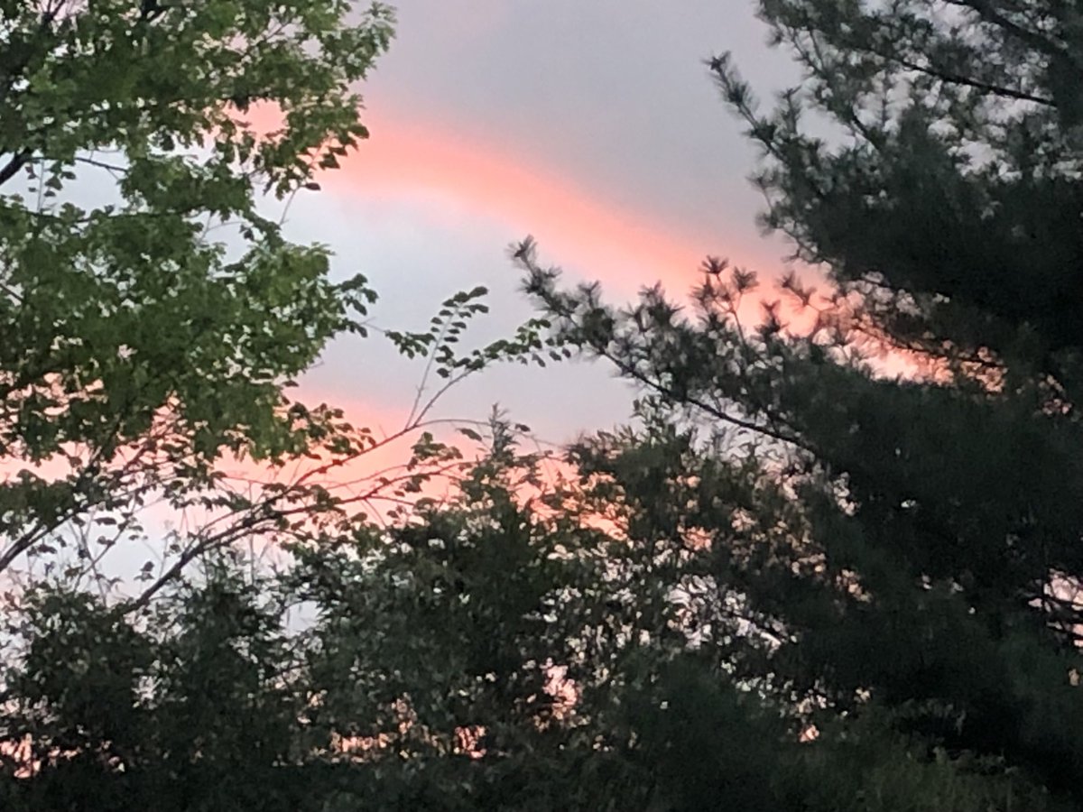 momlovesfilm's tweet image. First #sunset I’ve seen in months. #sopretty #springsky #NJ