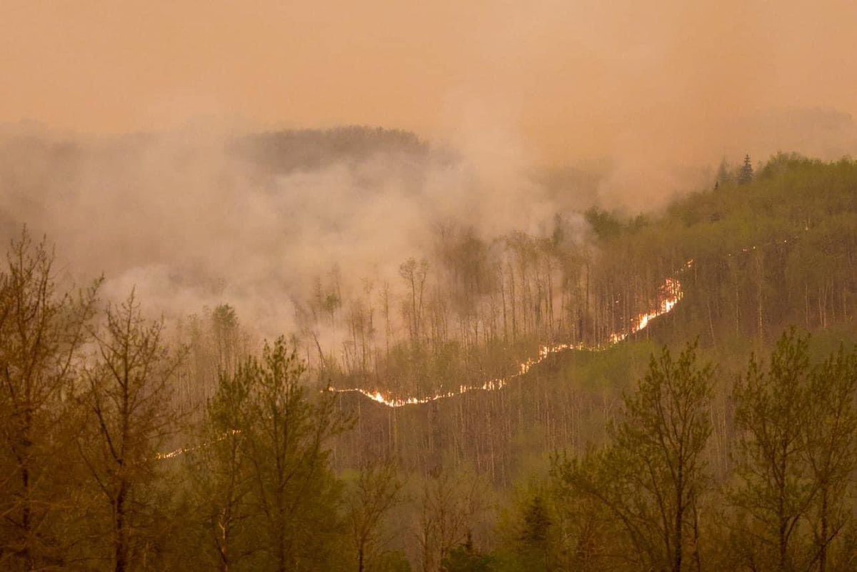 Just a girl with opinions♿️ on Twitter "Photos near Grovedale Ab"