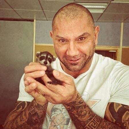 MarvelBRNews's tweet photo. O ator Dave Bautista (Drax) adotou um guaxinim em homenagem ao “Rocket” ❤️ https://t.co/niEEMdAKIX