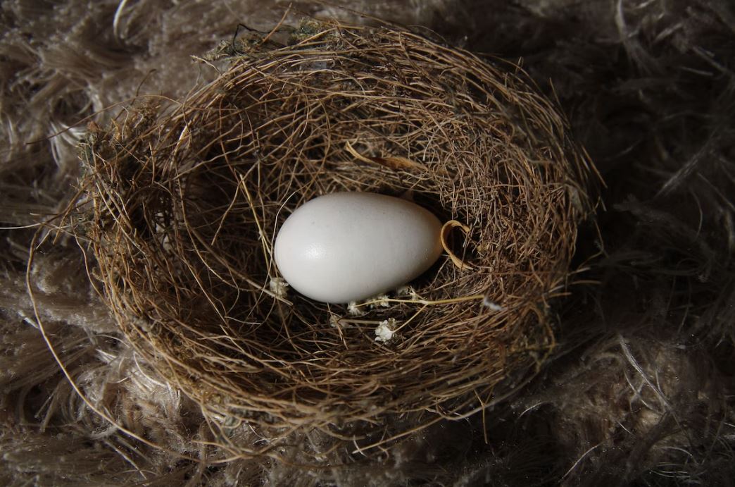 The stock market can go up, but it can also go down - tremendously and fast. But what if you could build a retirement nest egg that is sheltered from market swings and will never go down? It's possible. Find out how: loom.ly/eVonryg #wealth #money