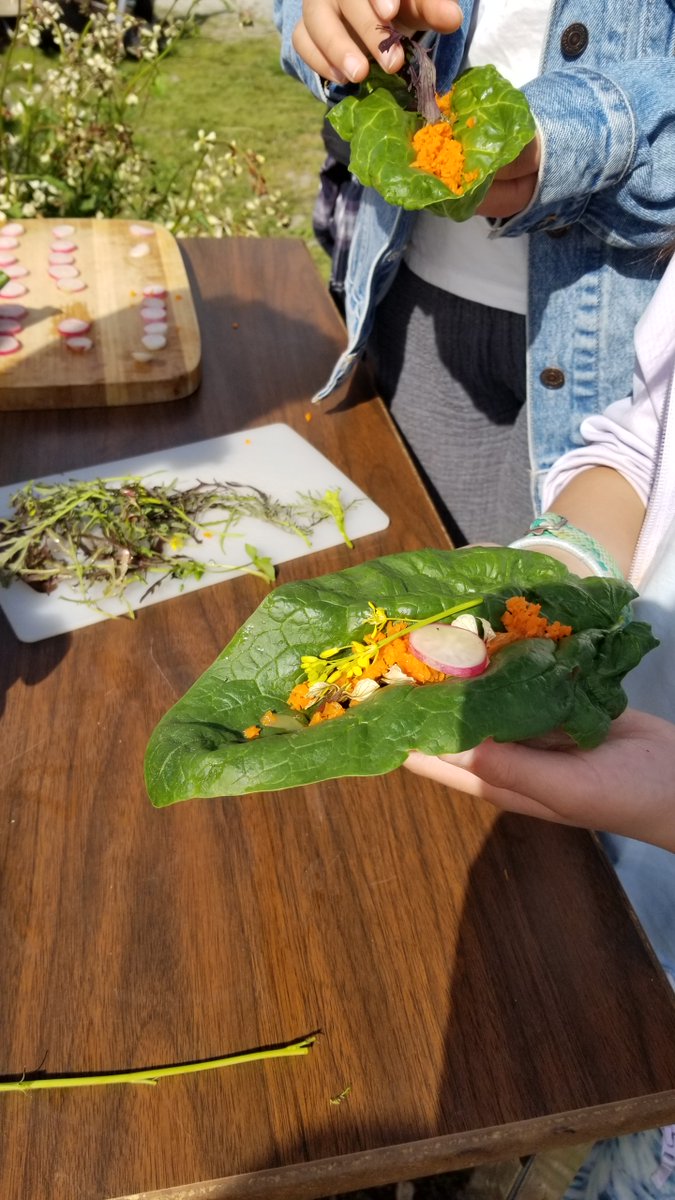 Working in the garden and then being rewarded with a delicious garden taco! Yum! <a href="/VSB39/">Vancouver School Board</a> <a href="/earthbitesca/">EarthBites</a> <a href="/Trafnews/">Trafalgar Elementary</a>