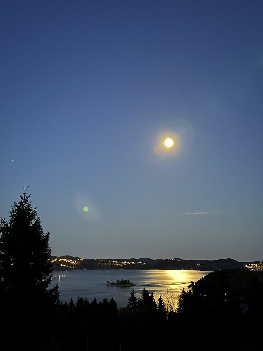 Terje Paulsen (@terjepaulsen6) on Twitter photo 