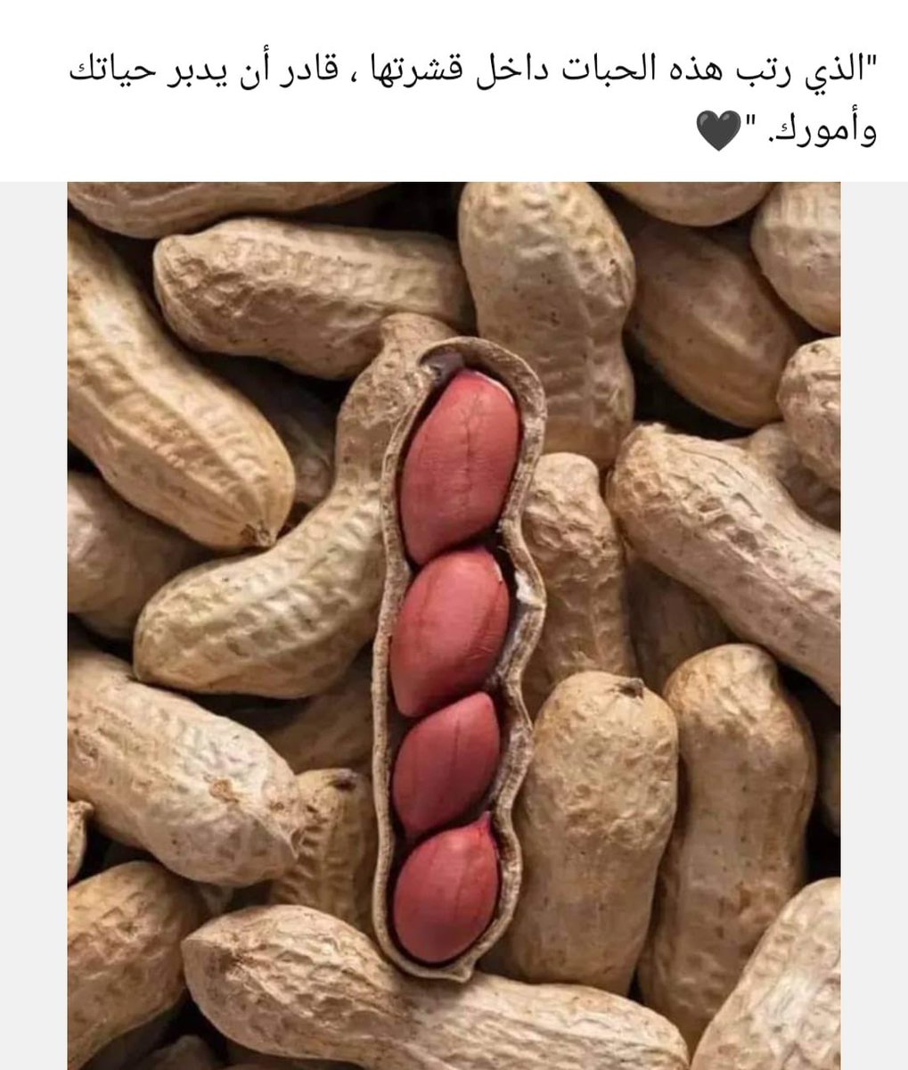 الذي رتب هذه الحبات داخل قشرتها قادر أن يدبر حياتك وأمورك ..
#صباح_الخير