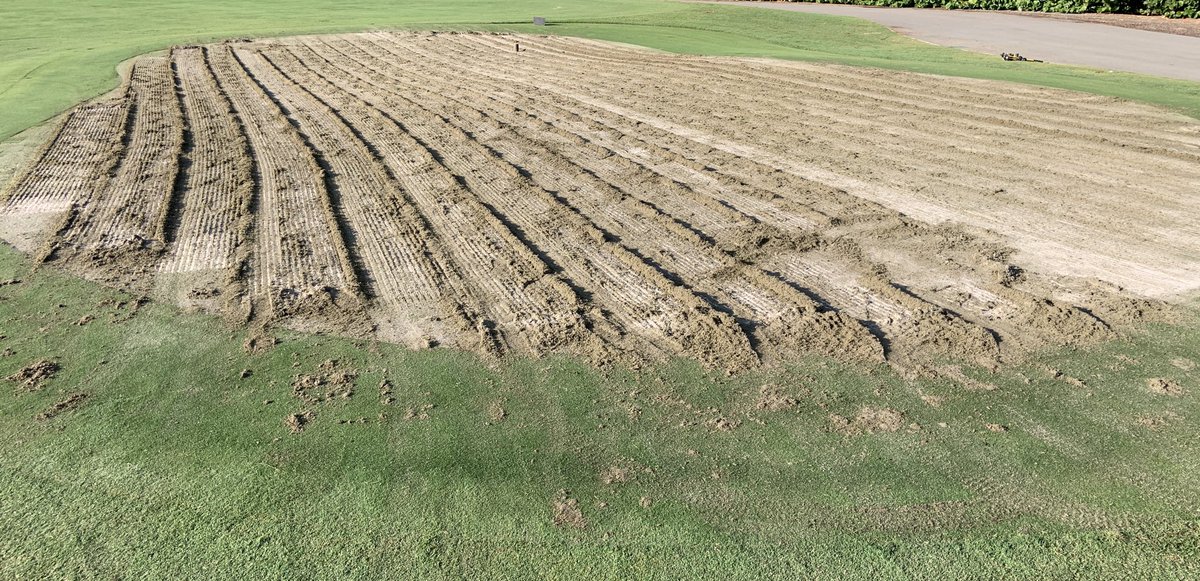 Southern Turfgrass Services tweet media