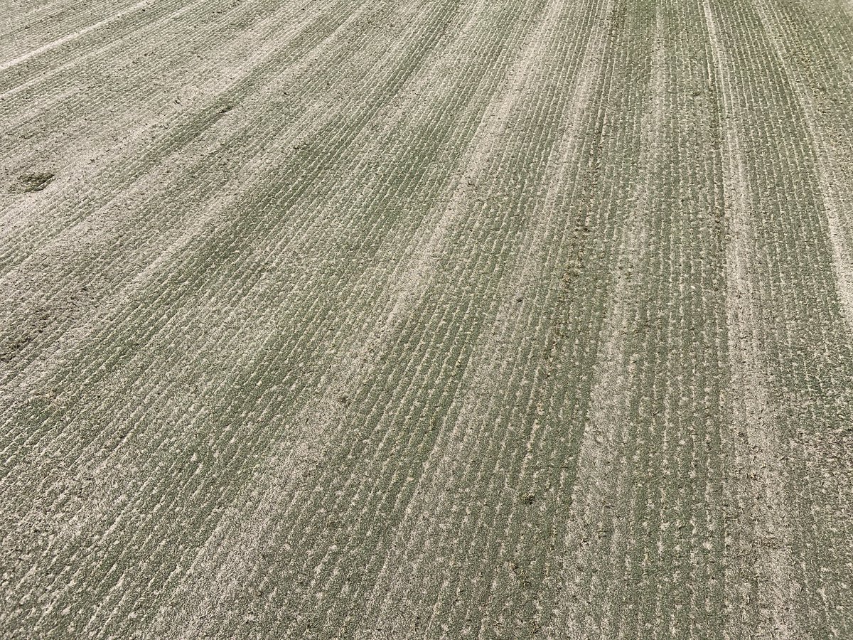 Southern Turfgrass Services tweet media