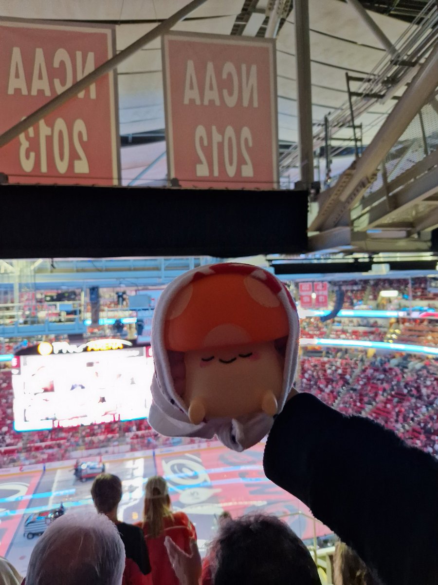 themarysamaha's tweet photo. @Canes 
#CarolinaHurricanes
#LetsGoCanes
The gang and Bobin the Mushroom! 🍄 https://t.co/gtW1PtoIAQ