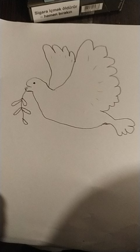 Furkan4Baser's tweet photo. hıdırellezde iki dilek diliyorum inancım var lan, düzelicek lan her şey https://t.co/KwoTN5LS7I