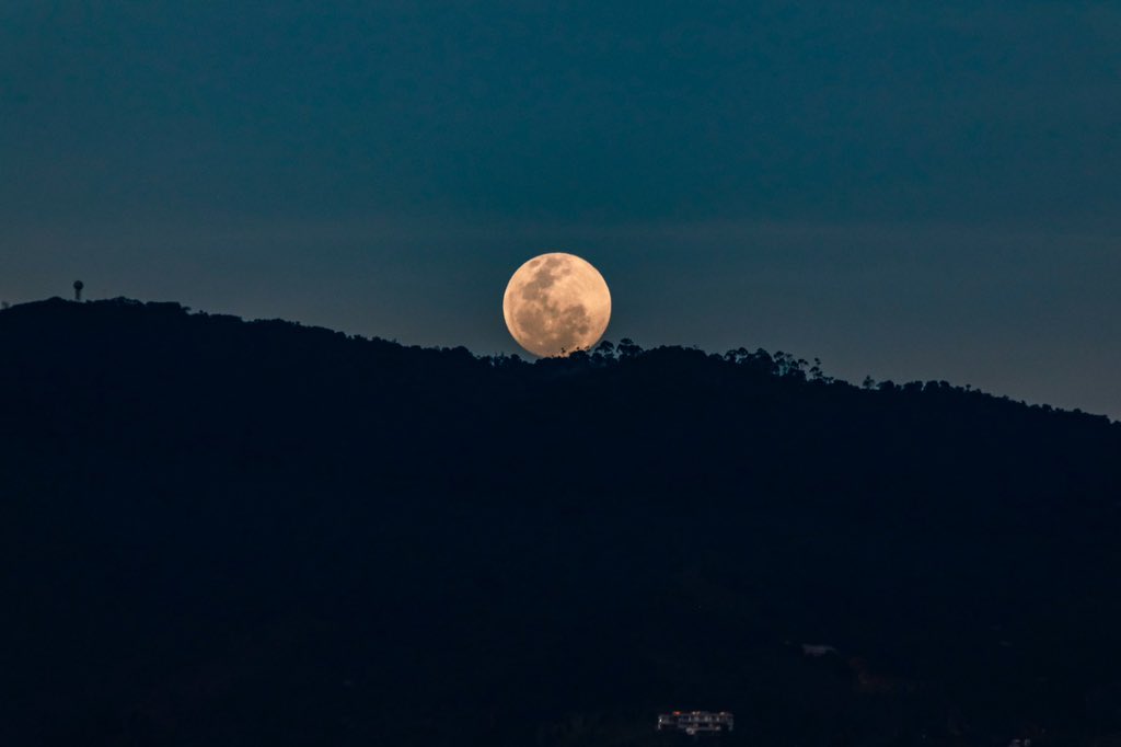Areametropol's tweet photo. ¿Ya viste la luna 🌕 de hoy? Después de estos calurosos días, llegan las noches a dejarnos estas grandiosas #PostalesMetropolitanas 📸.

¡Te deseamos un feliz #FinDeSemana 🙌🏻💚! https://t.co/hUWxqbSQJ6