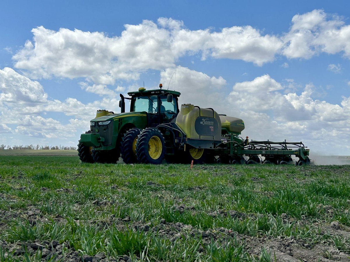 DustinSchmer's tweet photo. Big week of plots and finally received very beneficial rain across most of the region. Pumped to see the NEW hybrids from @Asgrow_DEKALB across the @DKAS_HP #plant23 #Bayer4NE https://t.co/eUBpIar85b