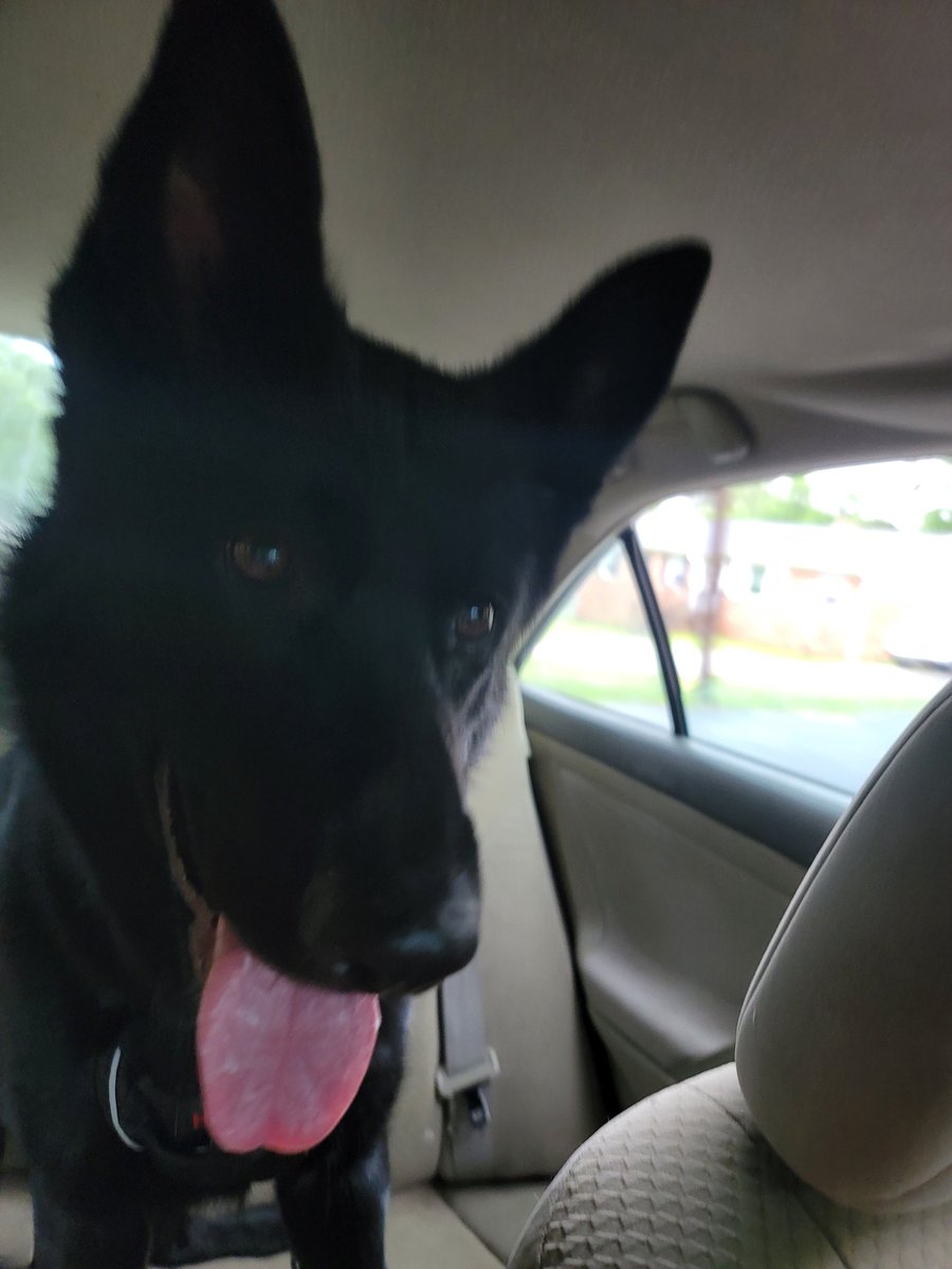 ShanleighG19's tweet photo. @RCSD No Jax, but here is an Athena! https://t.co/9rAFMJQlFy