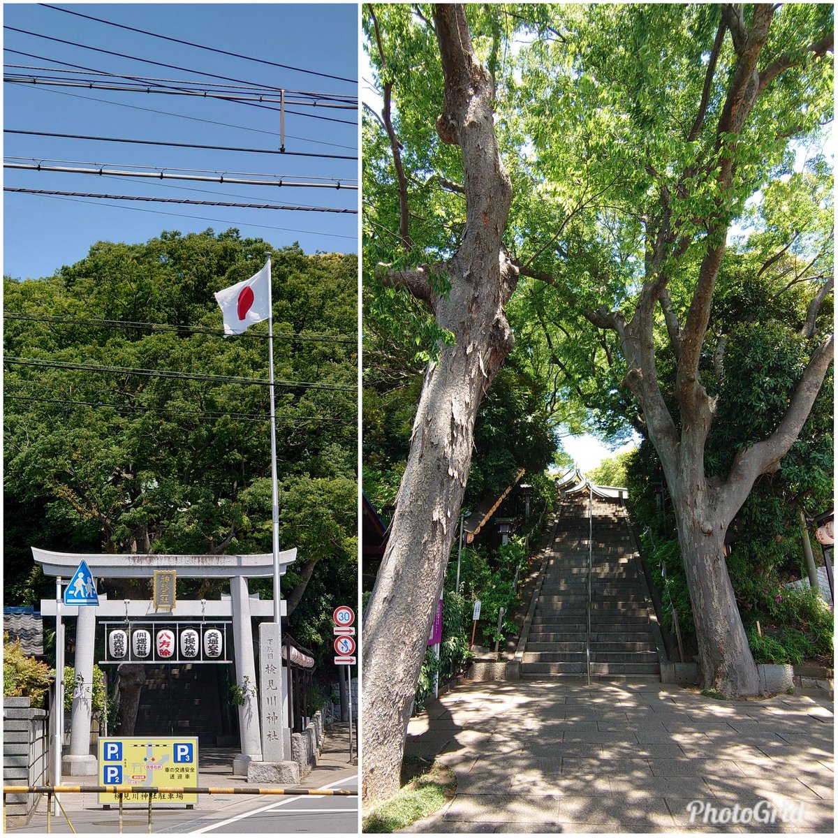 LeftAtsu's tweet photo. 千葉県千葉市花見川区・検見川神社
緑がキレイな季節になりましたね🌳
令和５年５月５日、５並び✨
端午祭限定御朱印をいただきました🎏
この日の昼頃に領布終了したようで、
ギリギリだったかも😳
#検見川神社
#御朱印 https://t.co/8xhSg5Mep1