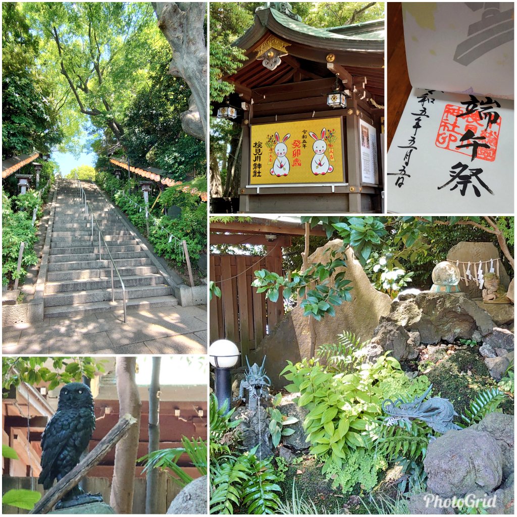 LeftAtsu's tweet photo. 千葉県千葉市花見川区・検見川神社
緑がキレイな季節になりましたね🌳
令和５年５月５日、５並び✨
端午祭限定御朱印をいただきました🎏
この日の昼頃に領布終了したようで、
ギリギリだったかも😳
#検見川神社
#御朱印 https://t.co/8xhSg5Mep1