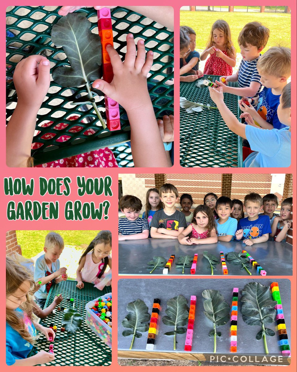 A little nonstandard measurement in the <a href="/LakesideCoppell/">LakesideCoppell</a> garden with some kinder friends today. We hardly noticed the warm temps, because we were having such a great time. #lakeside2223