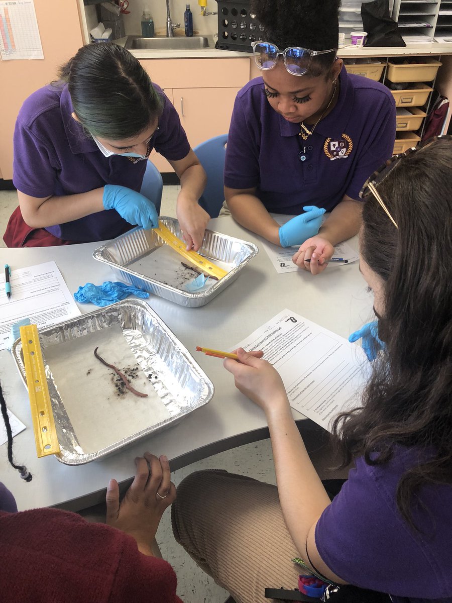 Candace Langenbuch tweet media