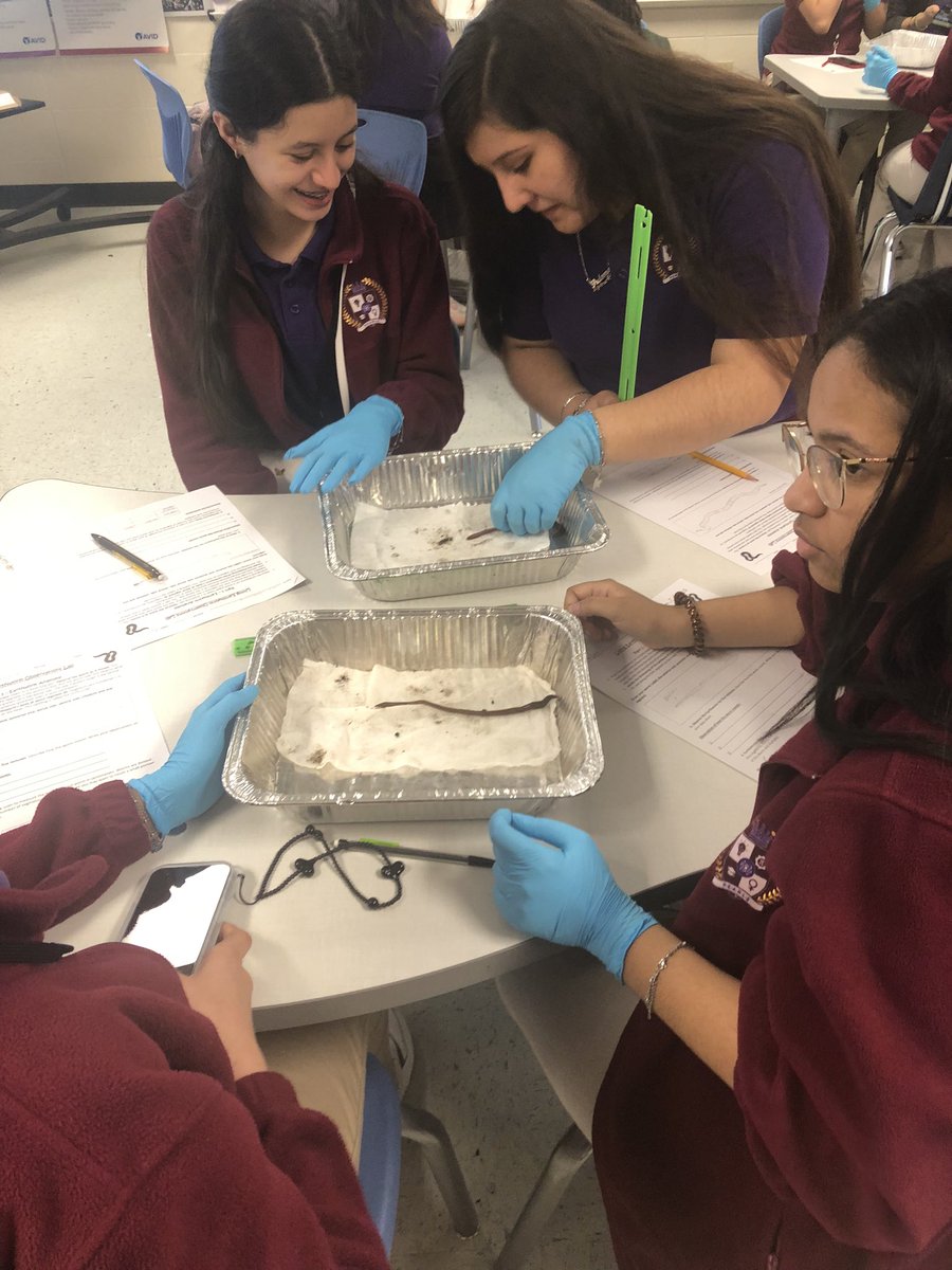 Candace Langenbuch tweet media