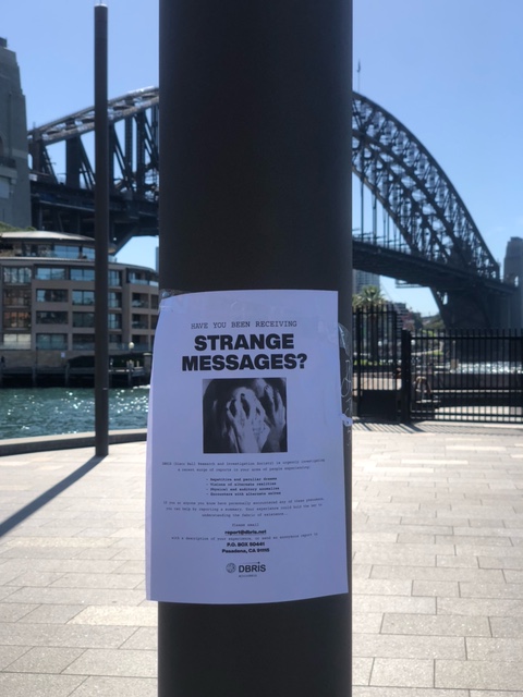 SeerSagacious's tweet photo. Another day in Paradise and I find more of these flyers, these people are serious!
#DBRIS #signup #TheDiscoBall https://t.co/i2kTvLRRFw