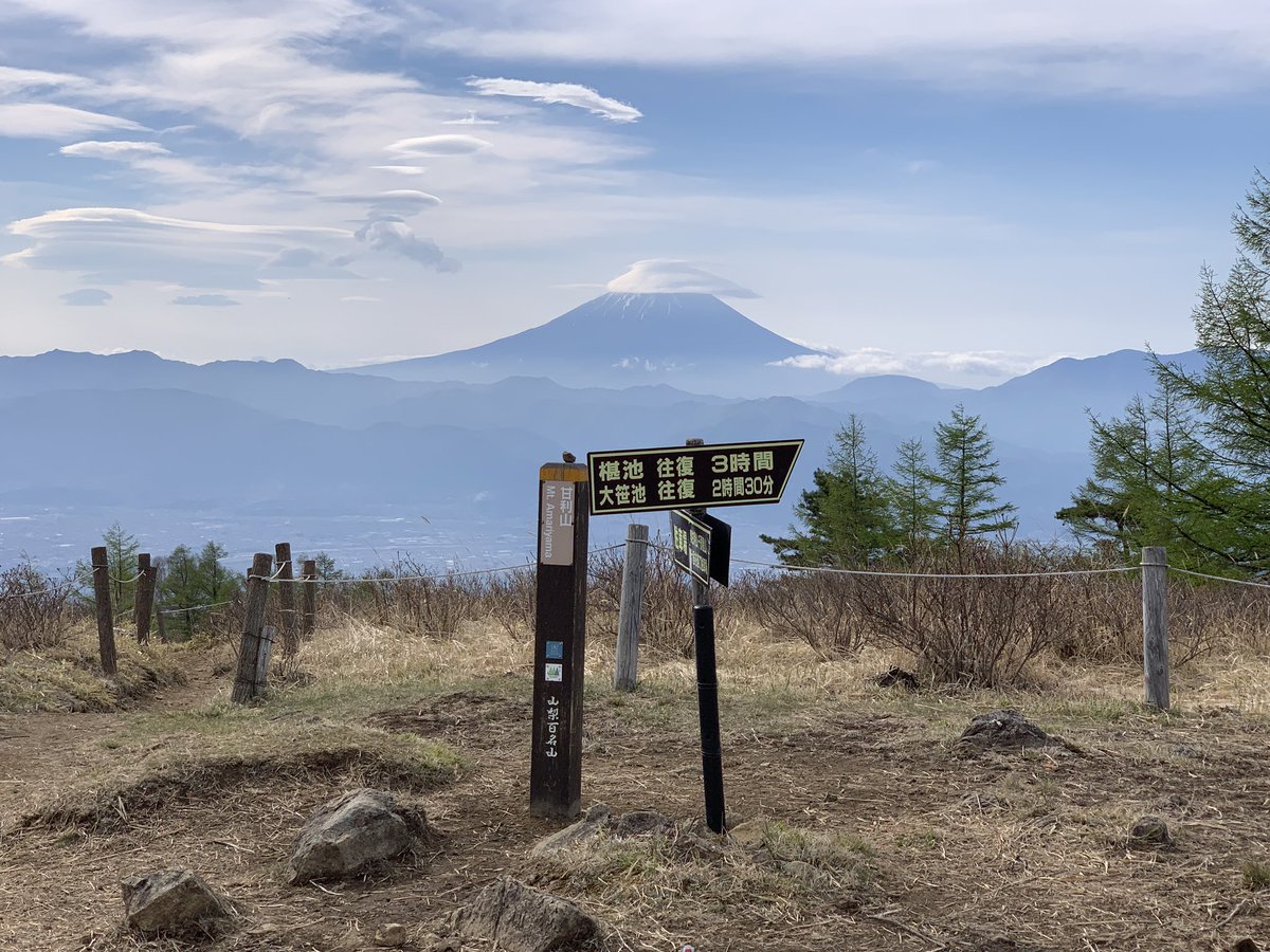 タクロス🍇ブロガーLv.6 tweet media