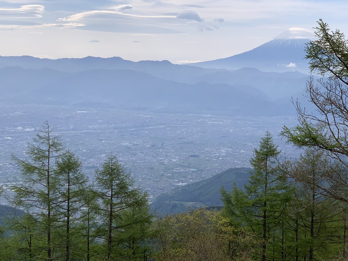 タクロス🍇ブロガーLv.6 tweet media