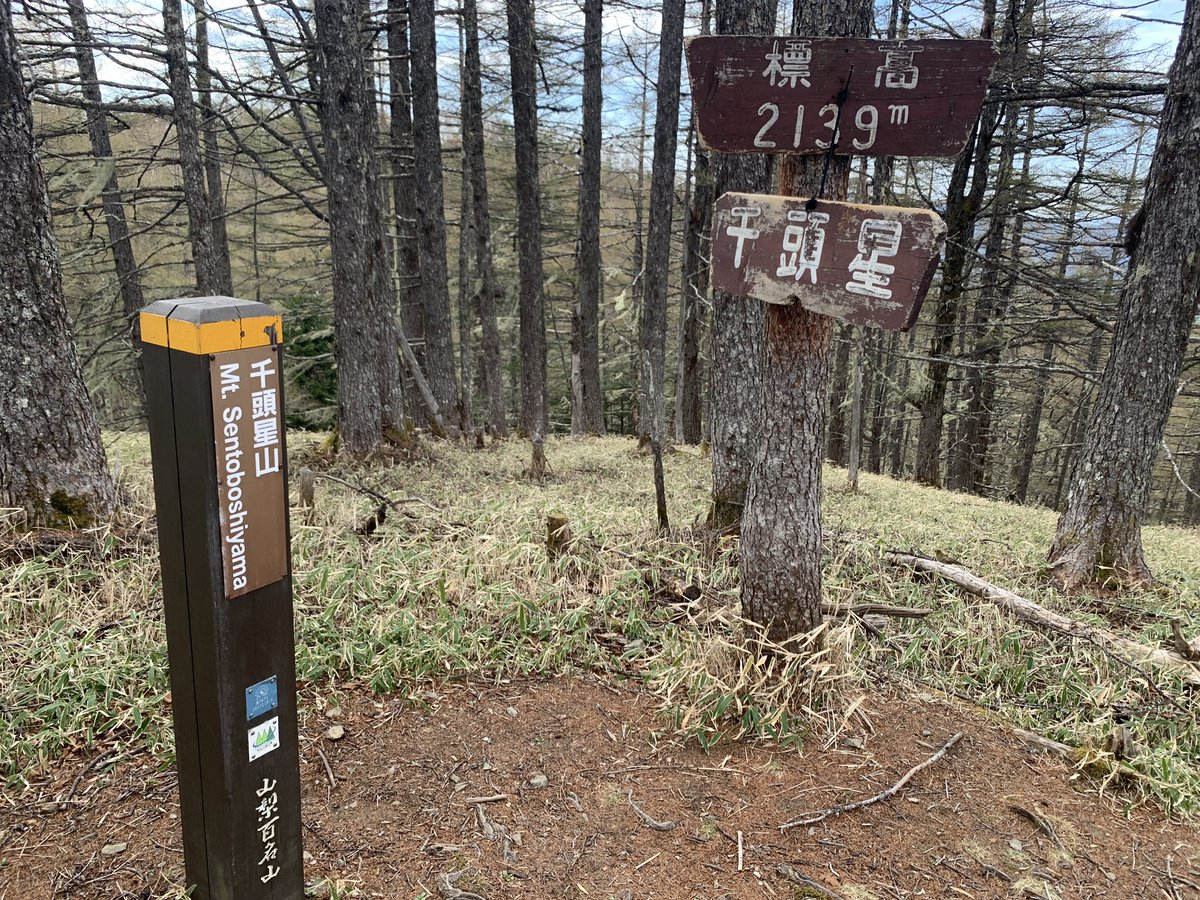 タクロス🍇ブロガーLv.6 tweet media