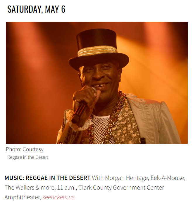 Reggae In The Desert tweet media