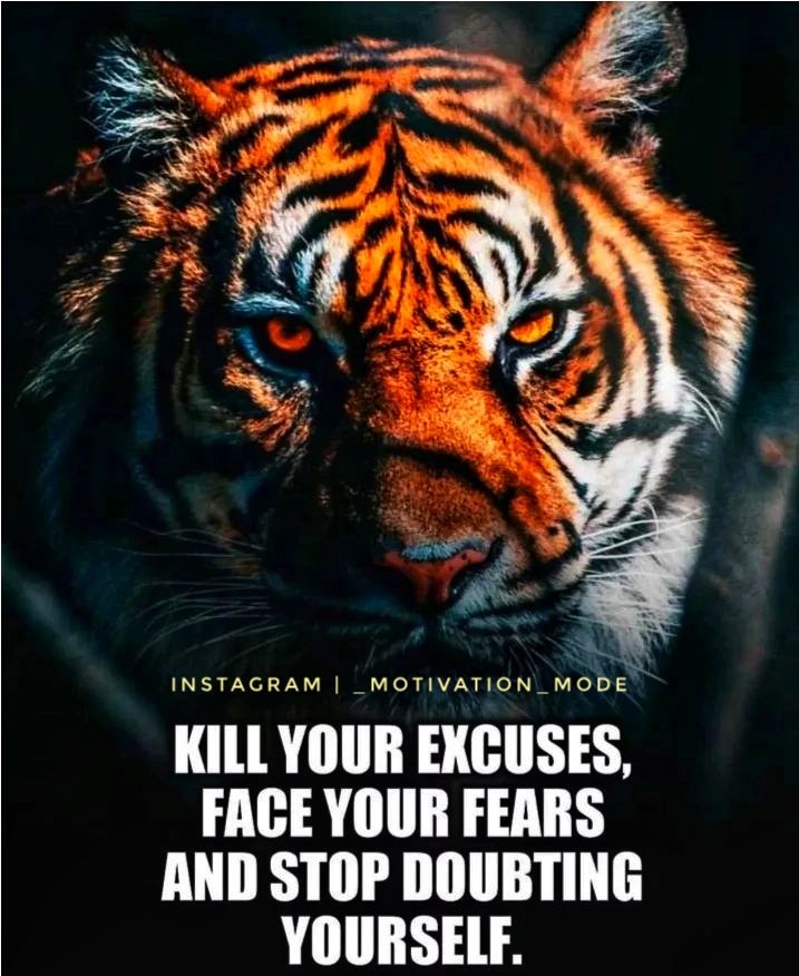 ankitrawat2421's tweet image. #_motivation__mode
#waterresources #watercourse #adventure #beach #landscape  #outdoors #travelphotography #instaart #dawn #sennelier #downpour #instarain #dogbreed #kadrajımdan #zainfotoprodukpekalongan #telegramdan #volunteerinafrica #helpinganimals #workingwithanimals #