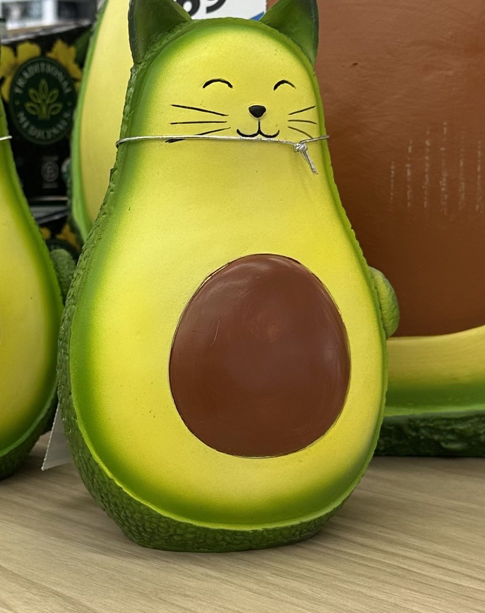 avoCATo