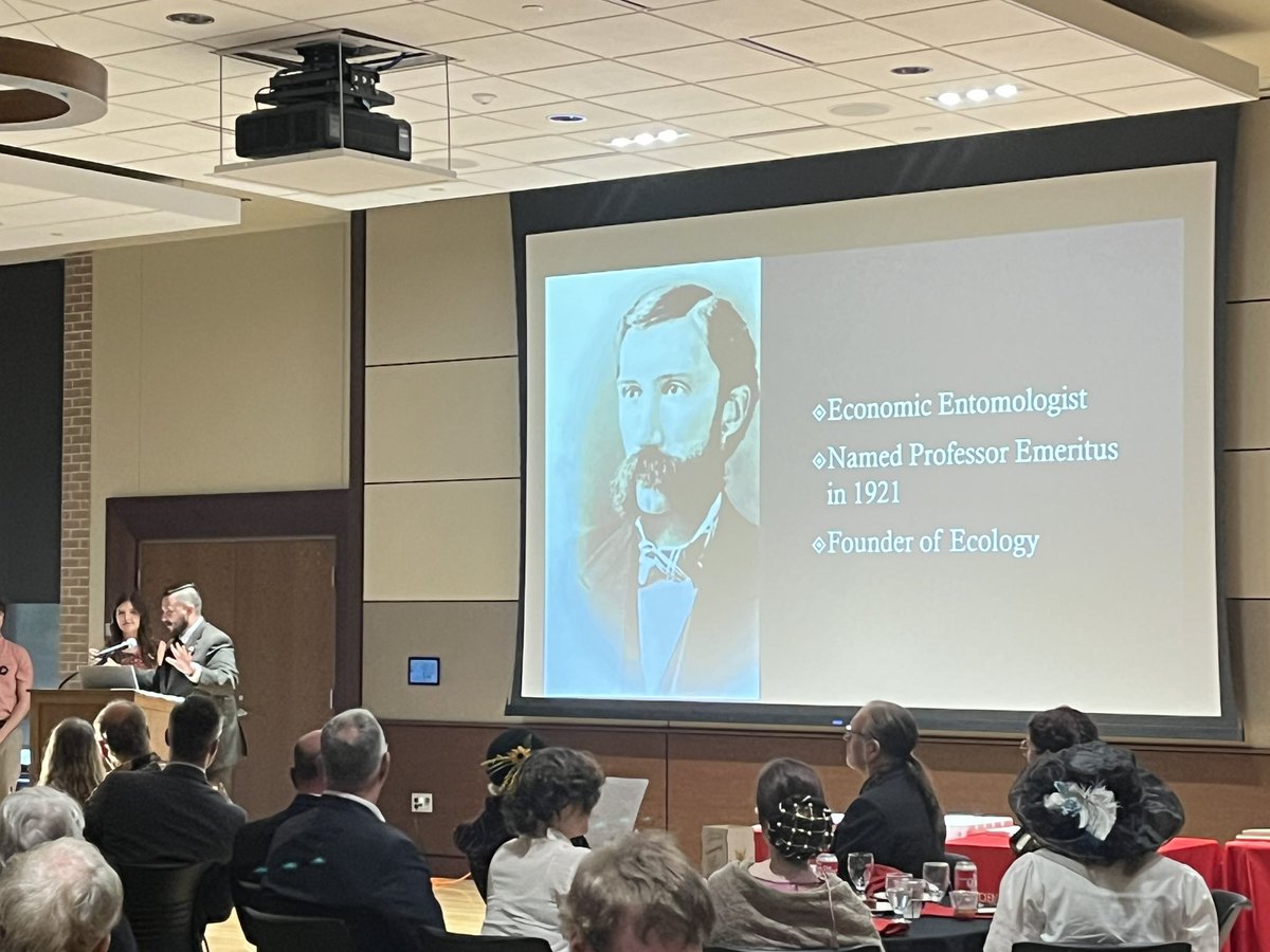 lise pingault tweet media