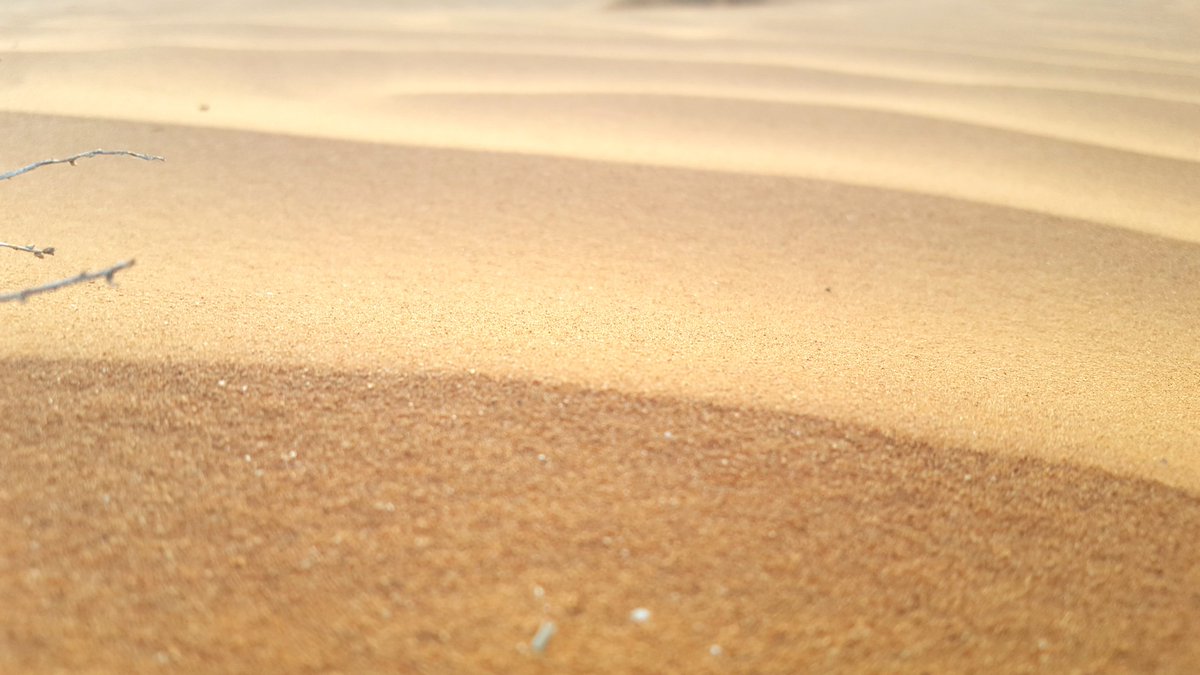 رشيد بونوارة (@rachid71874423) on Twitter photo 