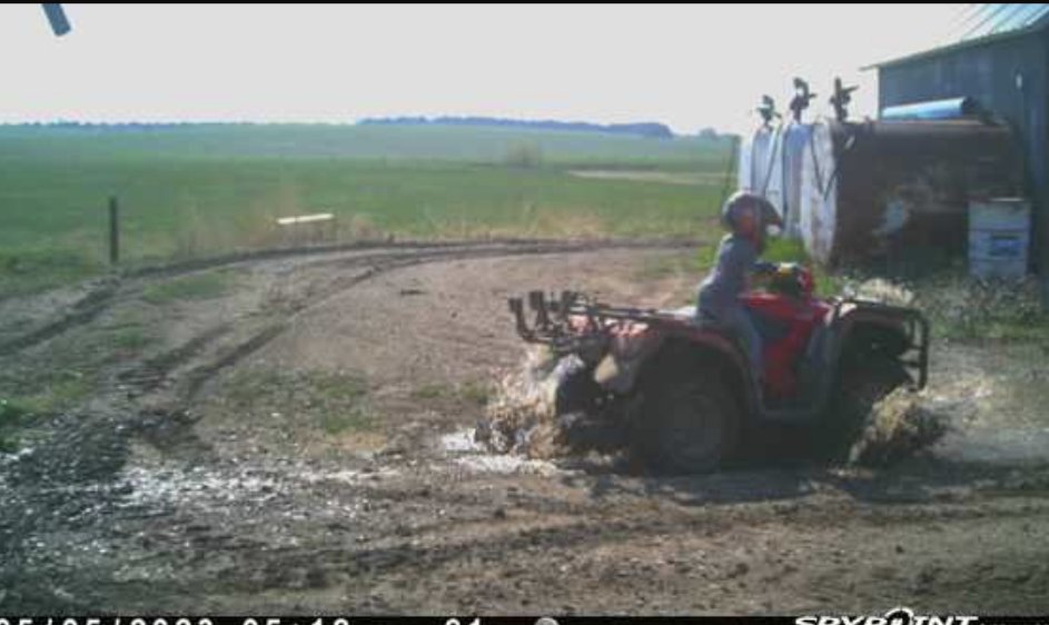 Dry Creek Cattle Co. tweet media