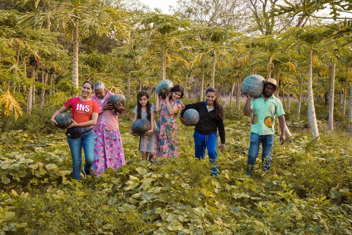 🧑‍🌾Los productores de ASOAGROPESAN en San Juan del Cesar, #LaGuajira, se destacan por cultivar las mejores ahuyamas, que llegan a mercados europeos para que el mundo conozca todas sus formas de preparación. #ColombiaEnMACFRUT2023🇨🇴🇮🇹  

¡Conoce más! 🎥 youtu.be/DKD88LQrmQg