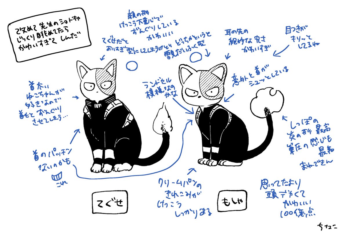 キューピー、猫にやられました…。｜キャラクターグッズ