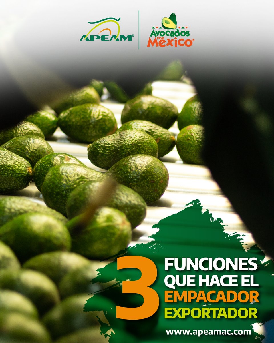 apeamac's tweet photo. ¿Sabes cuáles son los empaques autorizados para exportación de aguacate Mexicano a los Estados Unidos? ​🇲🇽🇺🇸🥑

👉🏼 Conócelos aquí: https://t.co/F1BBV9DR1d​
.
.
.
#ElAguacateEsMéxico #AvocadosFromMéxico #AguacateMexicano https://t.co/57b0CwjxqJ