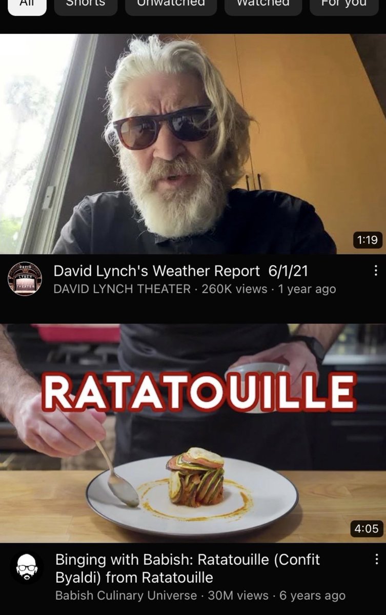 lala 🦠 (@ecto_fun) on Twitter photo 