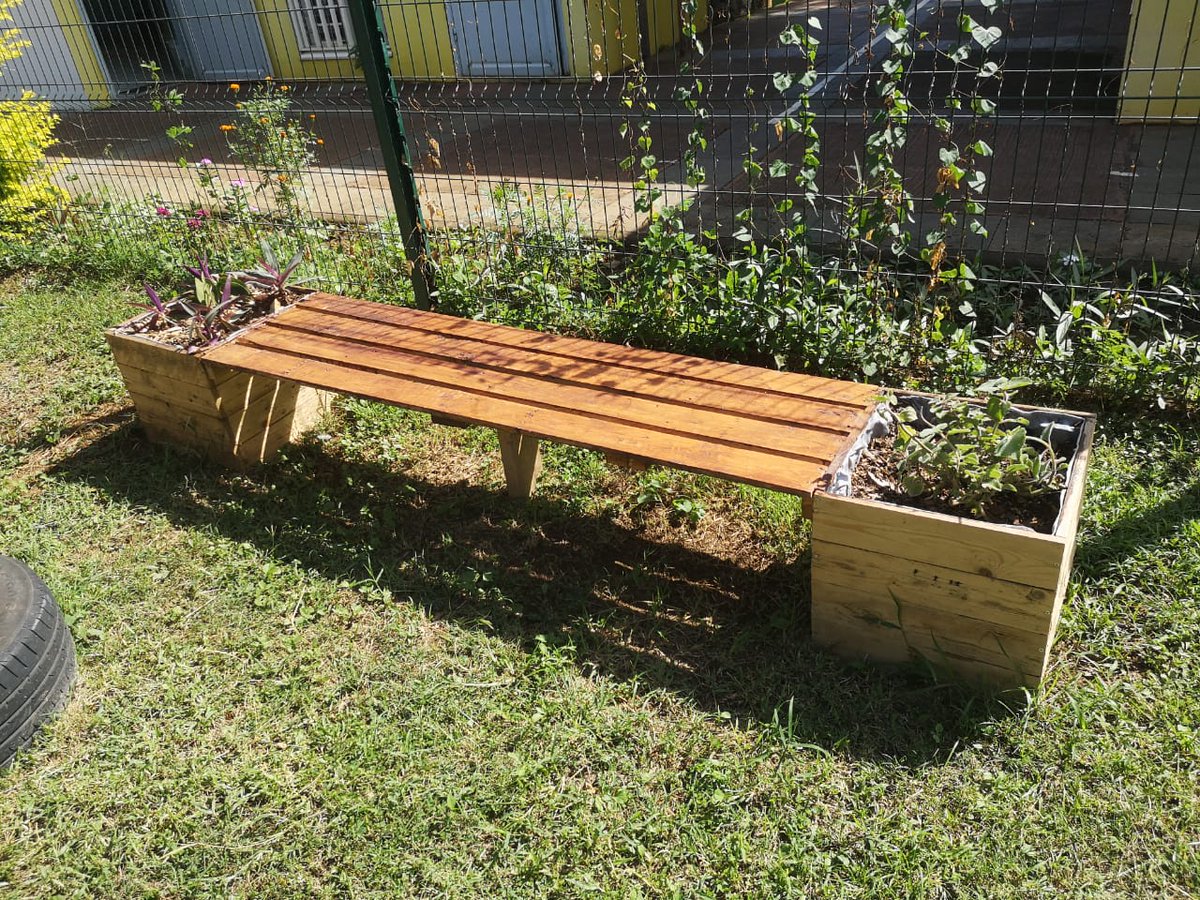 #EDD #Sciences à l'école maternelle Robert Debré, réalisation d'un micro potager par les élèves dans le cadre d'une action #citeeducative #Saintlouis. 
#parcourssante 
#parcourscitoyen