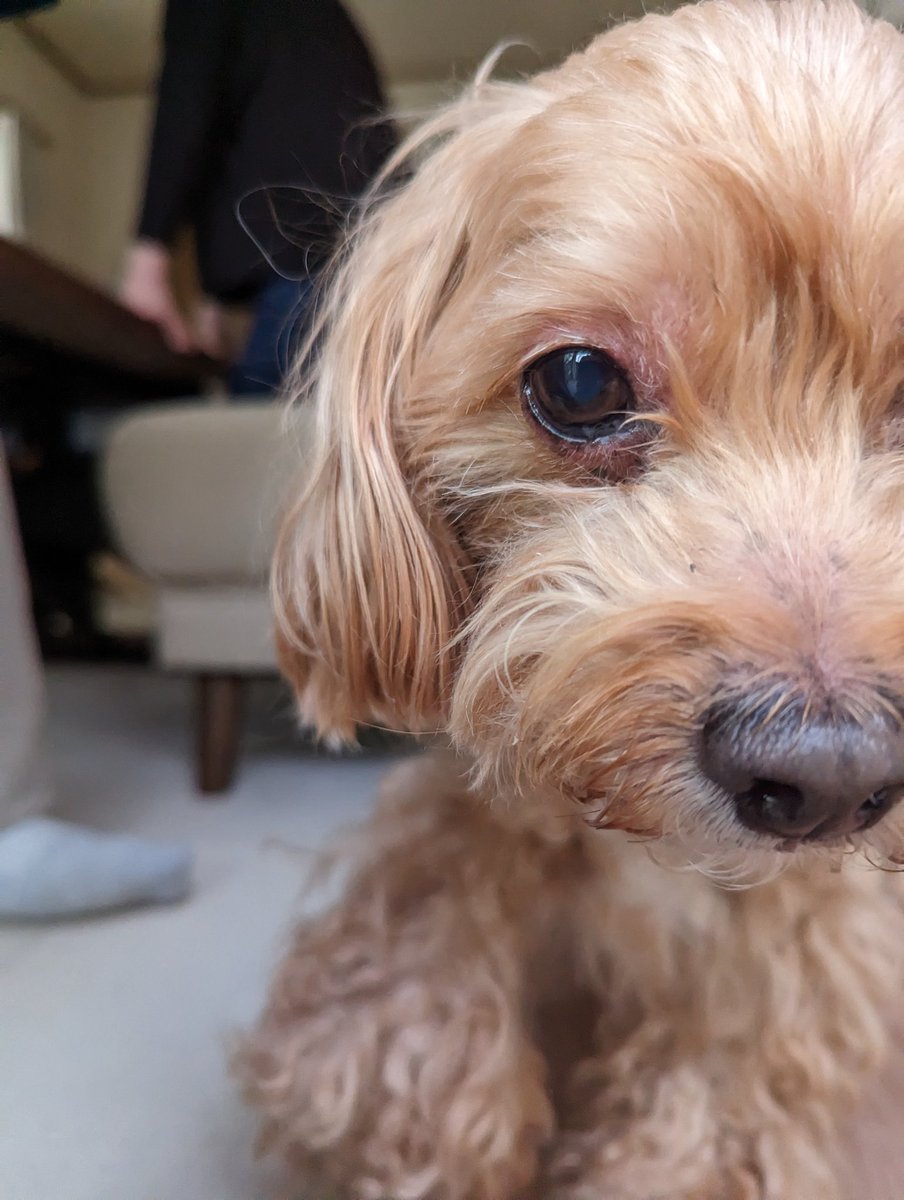 実の姉と野球拳したら弟がバキバキに勃起してしまう part3 │ アダルトニュース時短