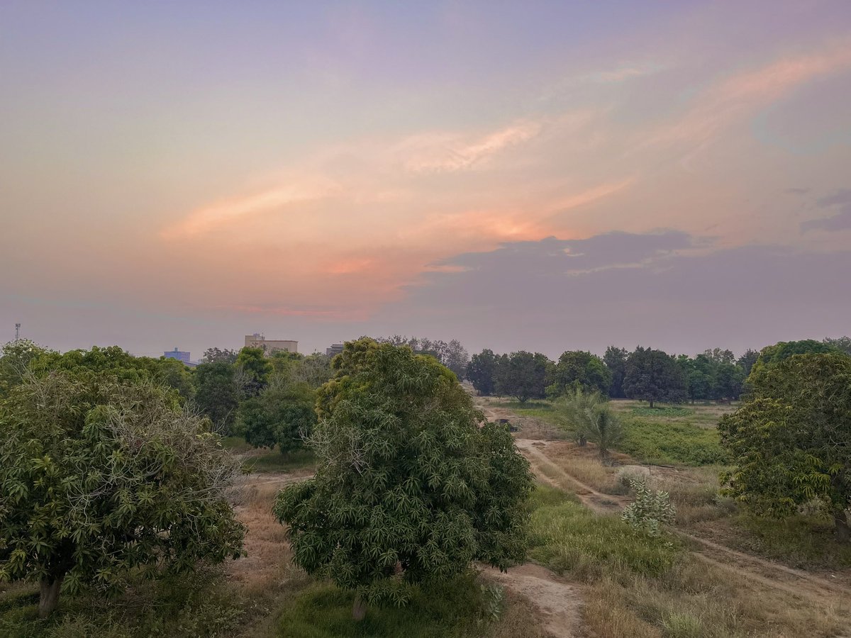 السادسة صباحًا"يوم أقبل الصّبح ليتك تقبل لخلّك / ليتك تجي مع شروق الشّمس من بدري"