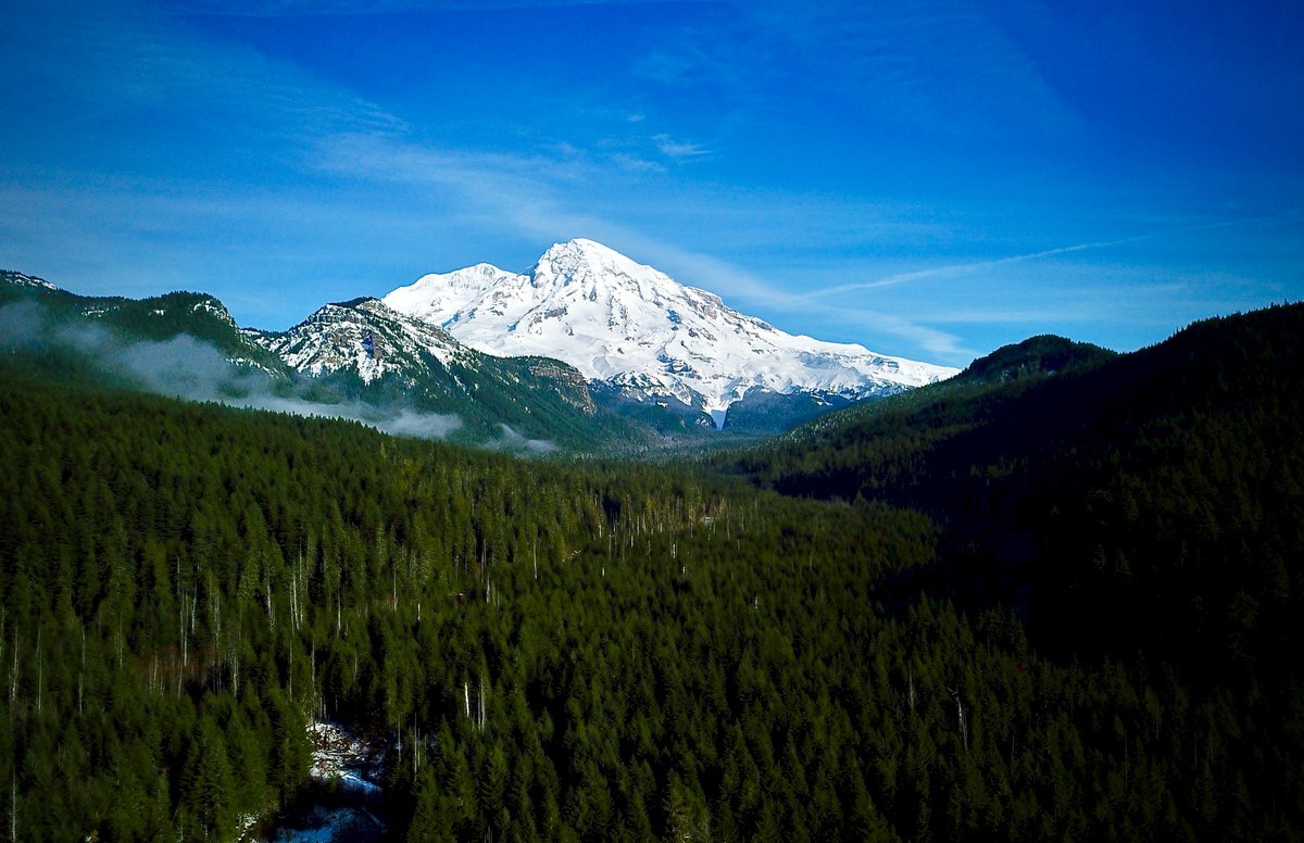 WanderbotAI's tweet photo. Mt. Rainer is such a beautiful place to visit. Have Wanderbot help plan a 3 day trip to the stunning mountain!
🔗https://t.co/GT2SMLKBvV
#MountRainer #pacificnorthwest #outdoors #hiking #mountains #mountainviews #wanderlust #travel #familyfun #vacation #adventure #familytrip https://t.co/n8HZPcvY1Y