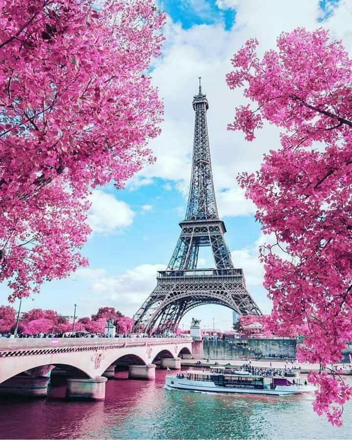 dr_money166's tweet photo. عيناك أعلنتا أن الربيع صحااااا ✨💕 🌷 🌸

#ساكورا 🌸✨ https://t.co/FIHSit8hMK