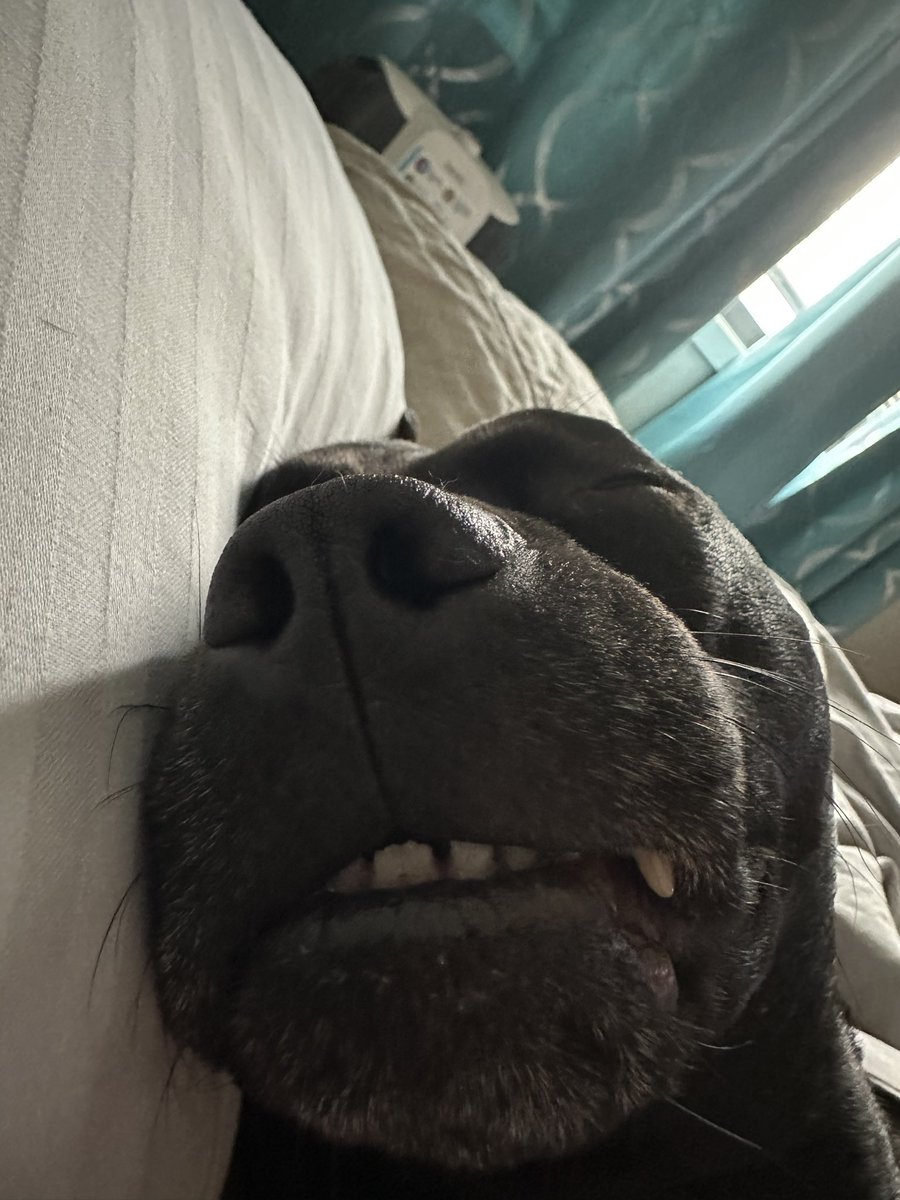 This guy… 😂🤣😍