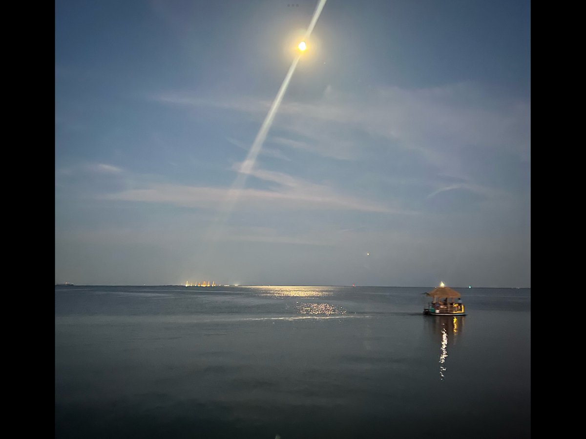 Rsawx1's tweet photo. @FOX13Tyler Moon over St Pete! https://t.co/g6S40HZJQB