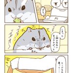 寝たのかと思い、ケージに被せておいた毛布を捲ってみると･･･!可愛すぎるハムスター漫画が話題に!