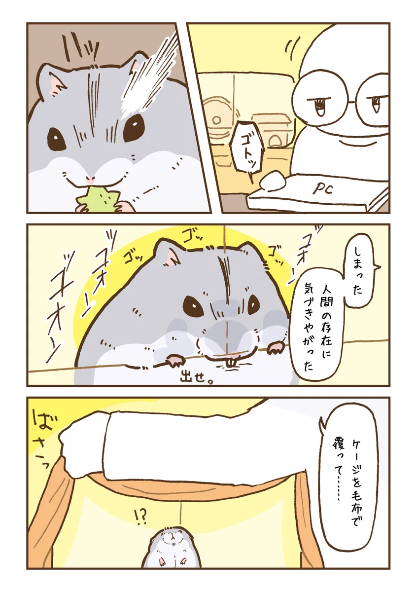 寝たのかと思い、ケージに被せておいた毛布を捲ってみると･･･！可愛すぎるハムスター漫画が話題に！
