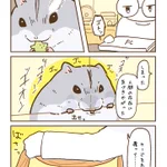 寝たのかと思い、ケージに被せておいた毛布を捲ってみると･･･!可愛すぎるハムスター漫画が話題に!