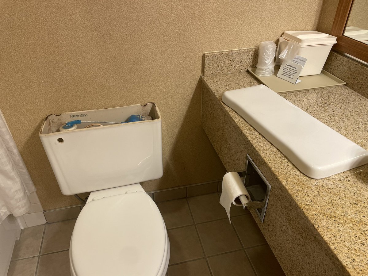 bernie dale stevens tweet media