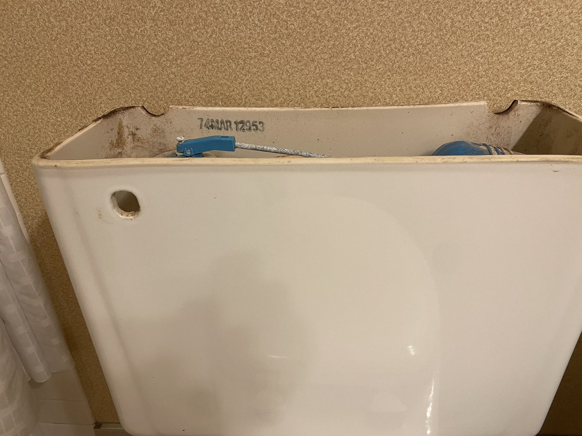 bernie dale stevens tweet media