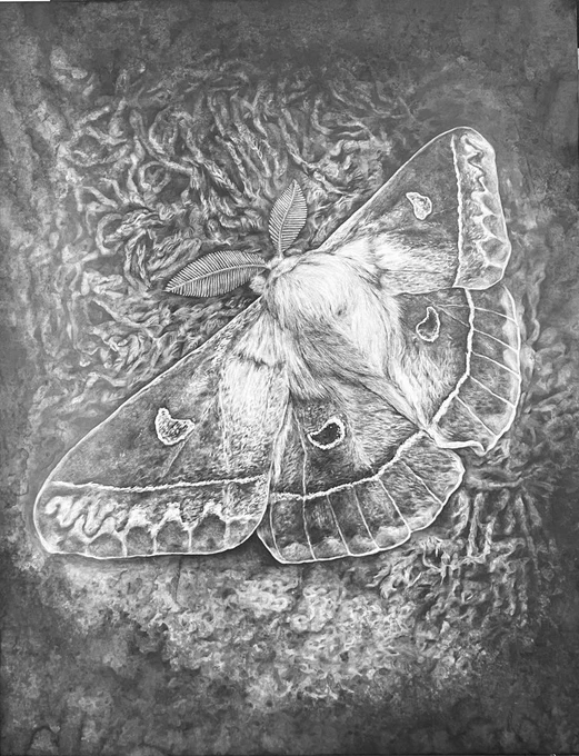 #ゴールデンウィークSNS展覧会2023  黒鉛や水彩で昆虫を描いてます