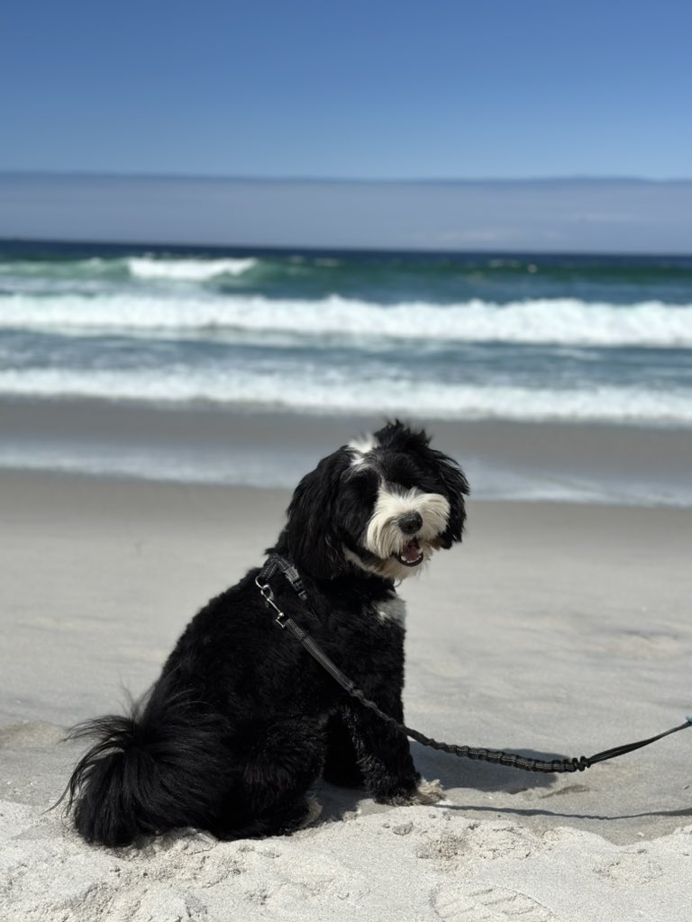 T Kyle Harrison tweet media