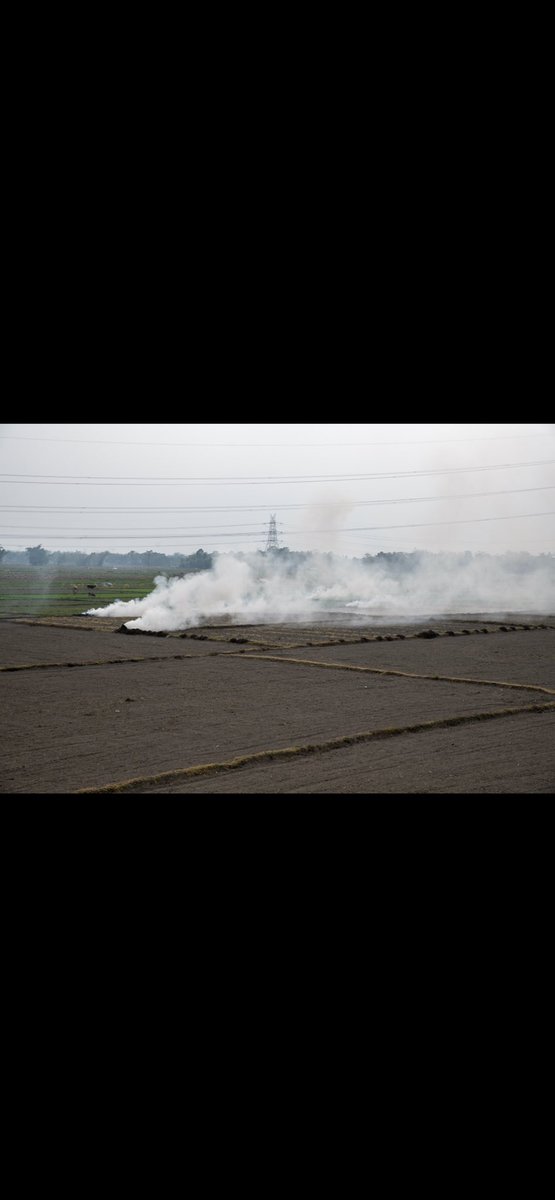 sankarsridhar's tweet photo. Slow burn https://t.co/CtXb80mMPw